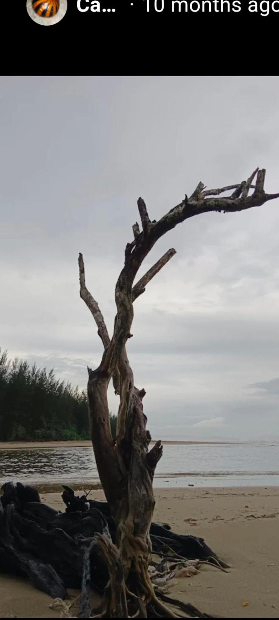 Sematan The Mangroveヴィラ エクステリア 写真