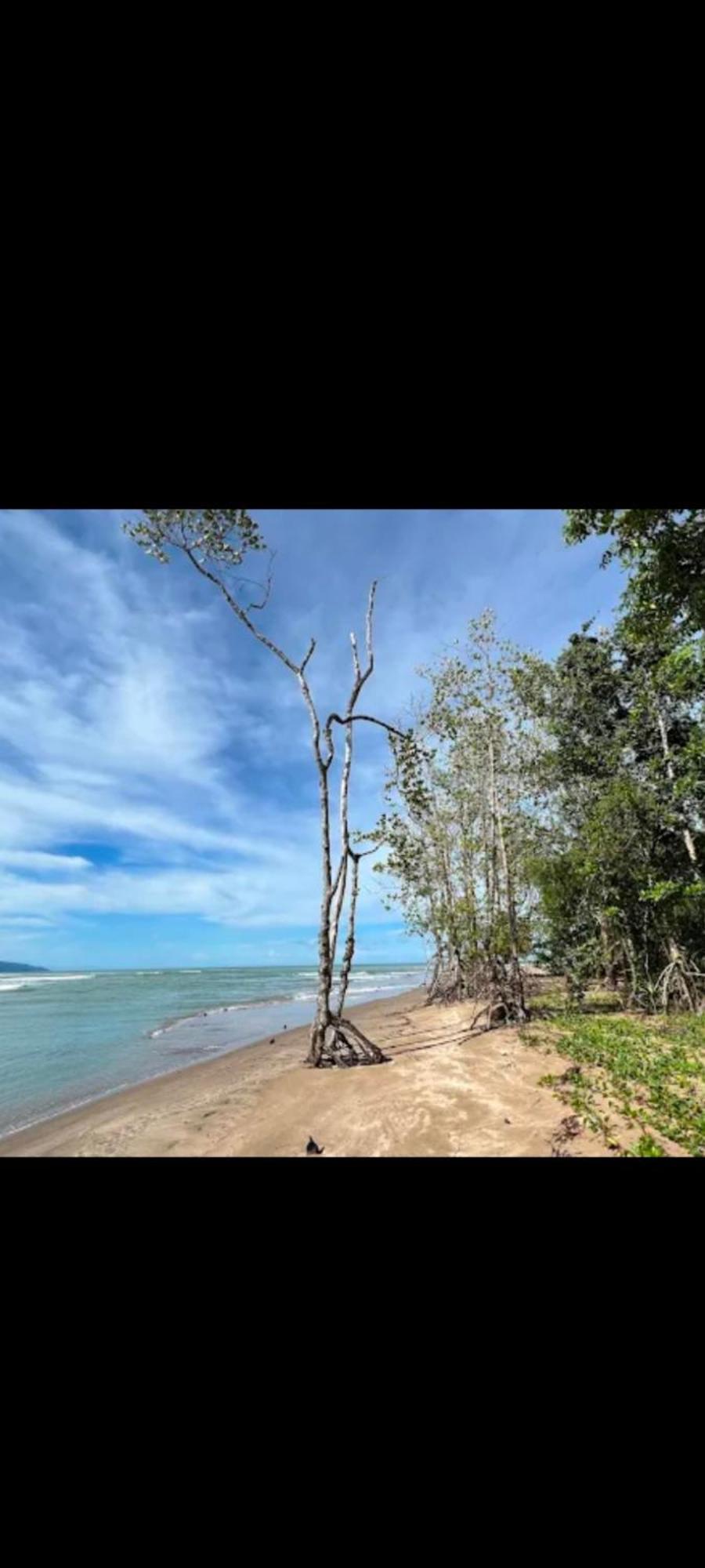 Sematan The Mangroveヴィラ エクステリア 写真